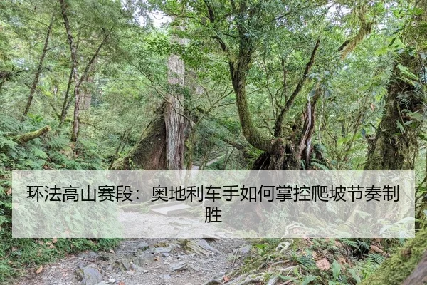 huan-fa-gao-shan-sai-duan-ao-di-li-che-shou-ru-he-zhang-kong-pa-po-jie-zou-zhi-sheng-2-261.jpg